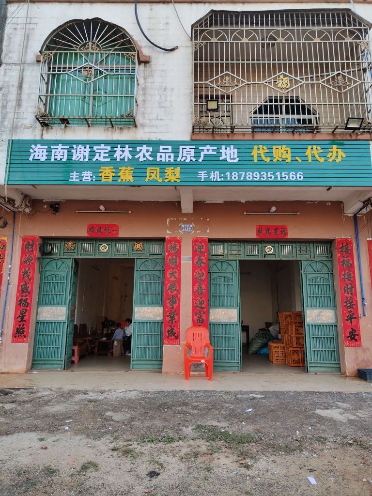 海南谢定林农品代购代办