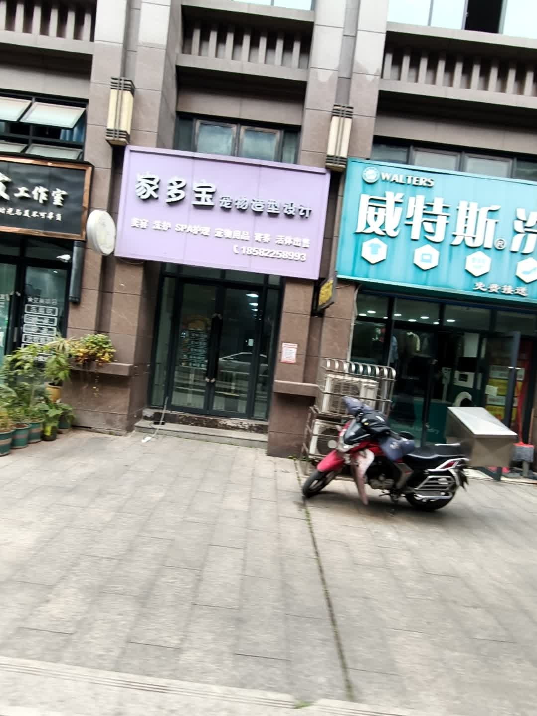 家多宝宠物造型设计
