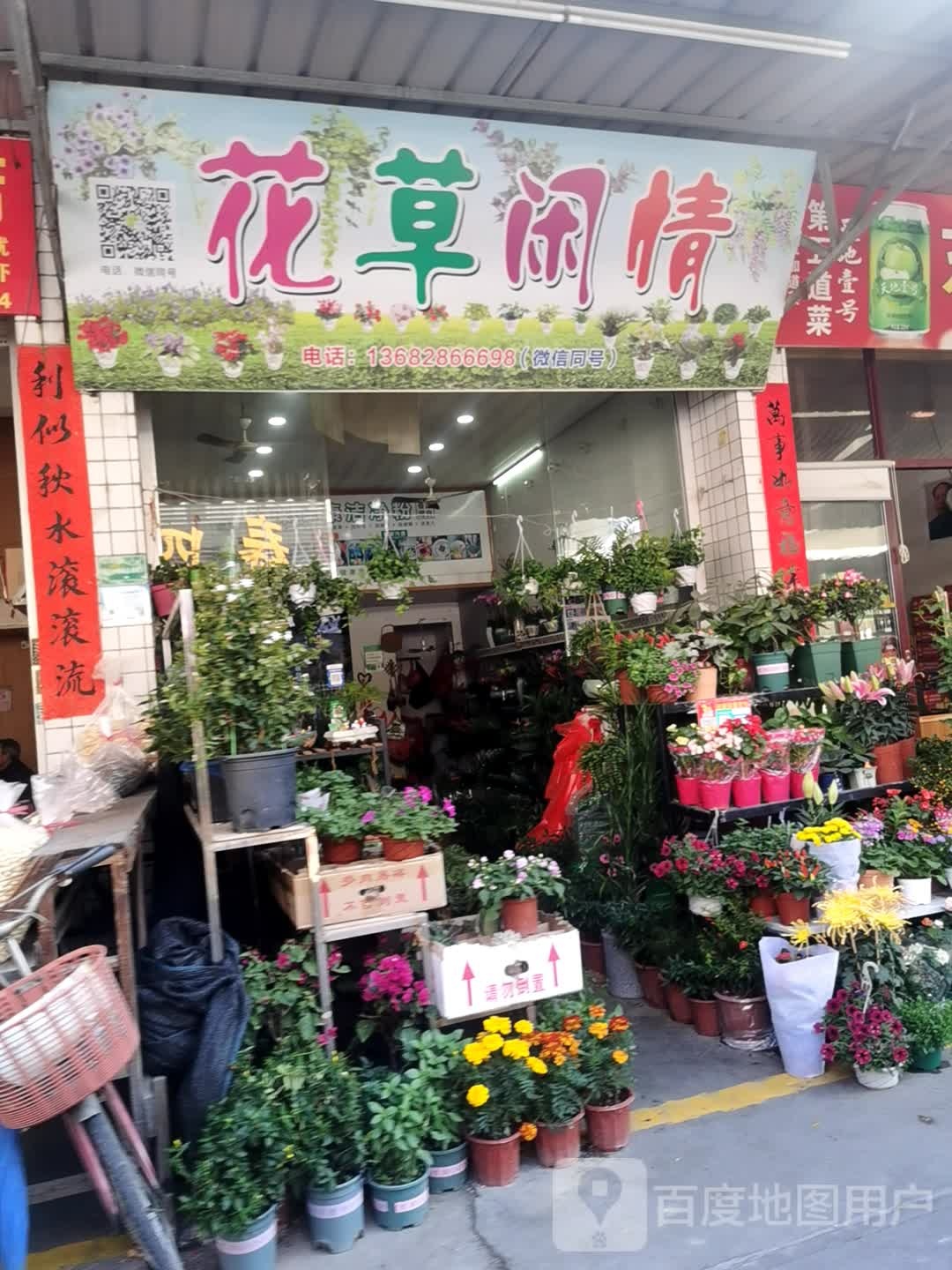 花草闲情