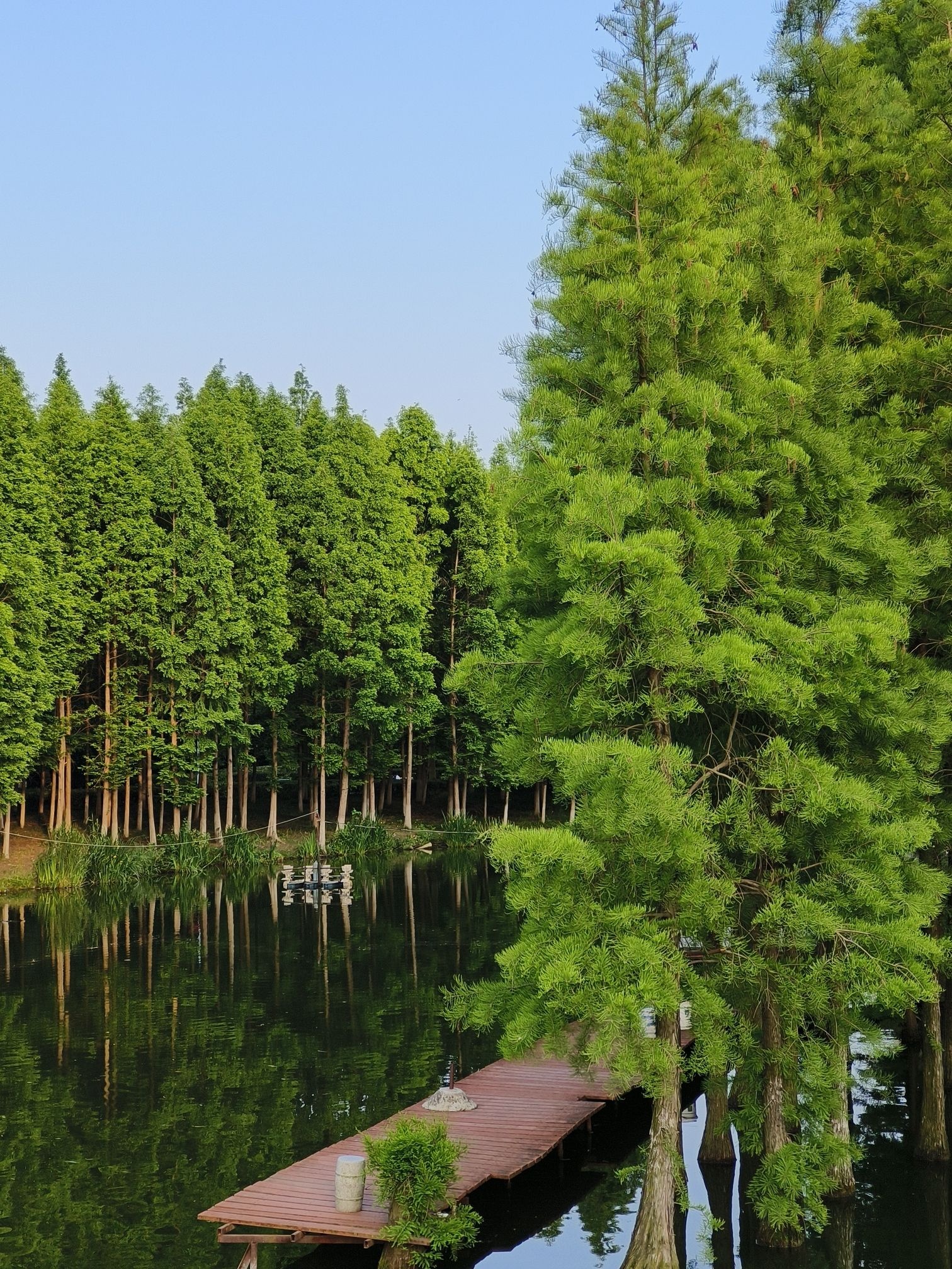 泰州市天德湖公园