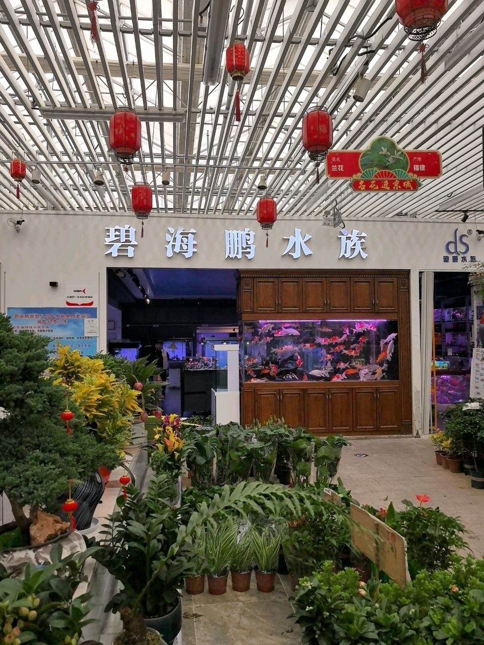 碧海鹏水族(玉泉营店)