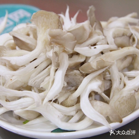 灶香火锅菜