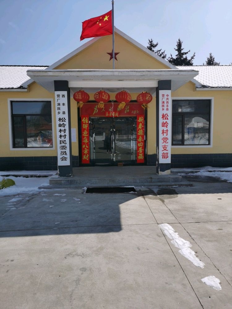 辽宁省铁岭市西丰县松岭村退役军人服务站