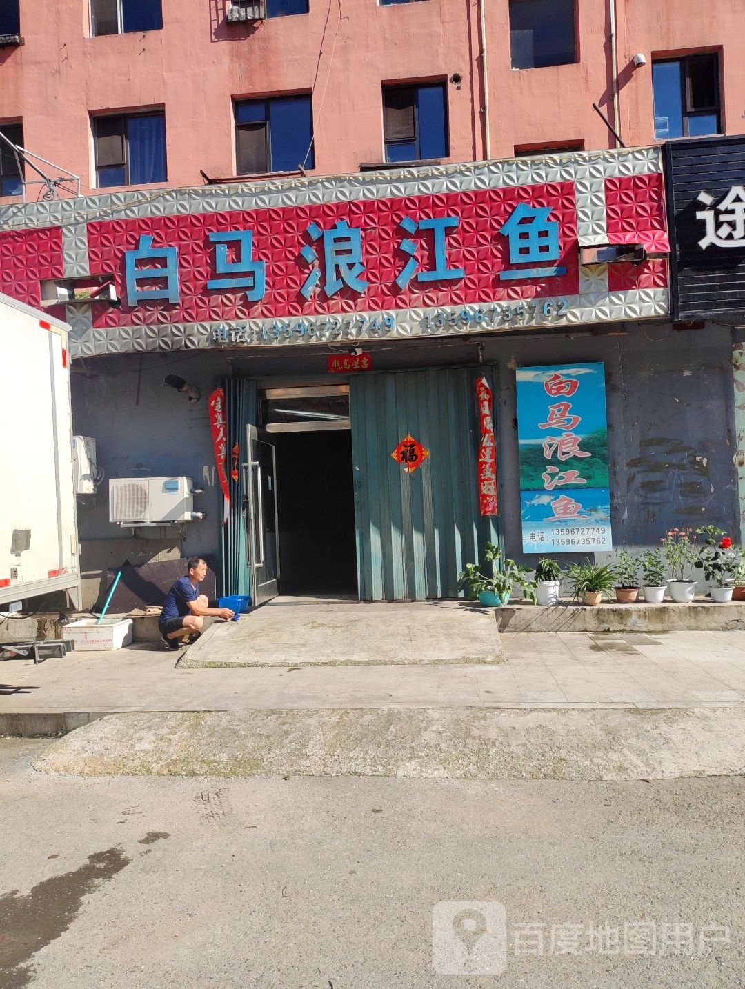 白马浪江鱼