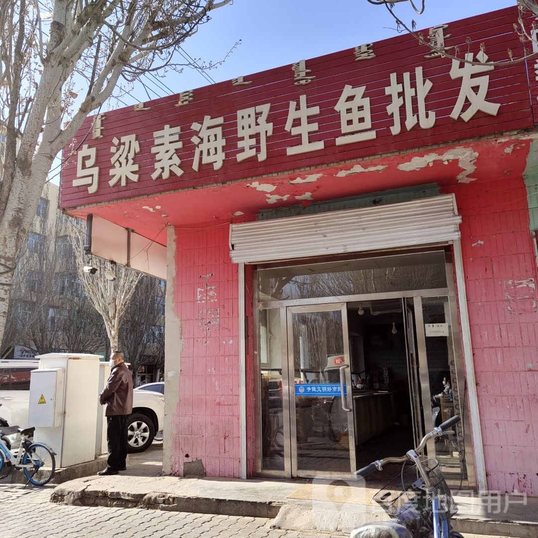 乌梁素海野生鱼批发
