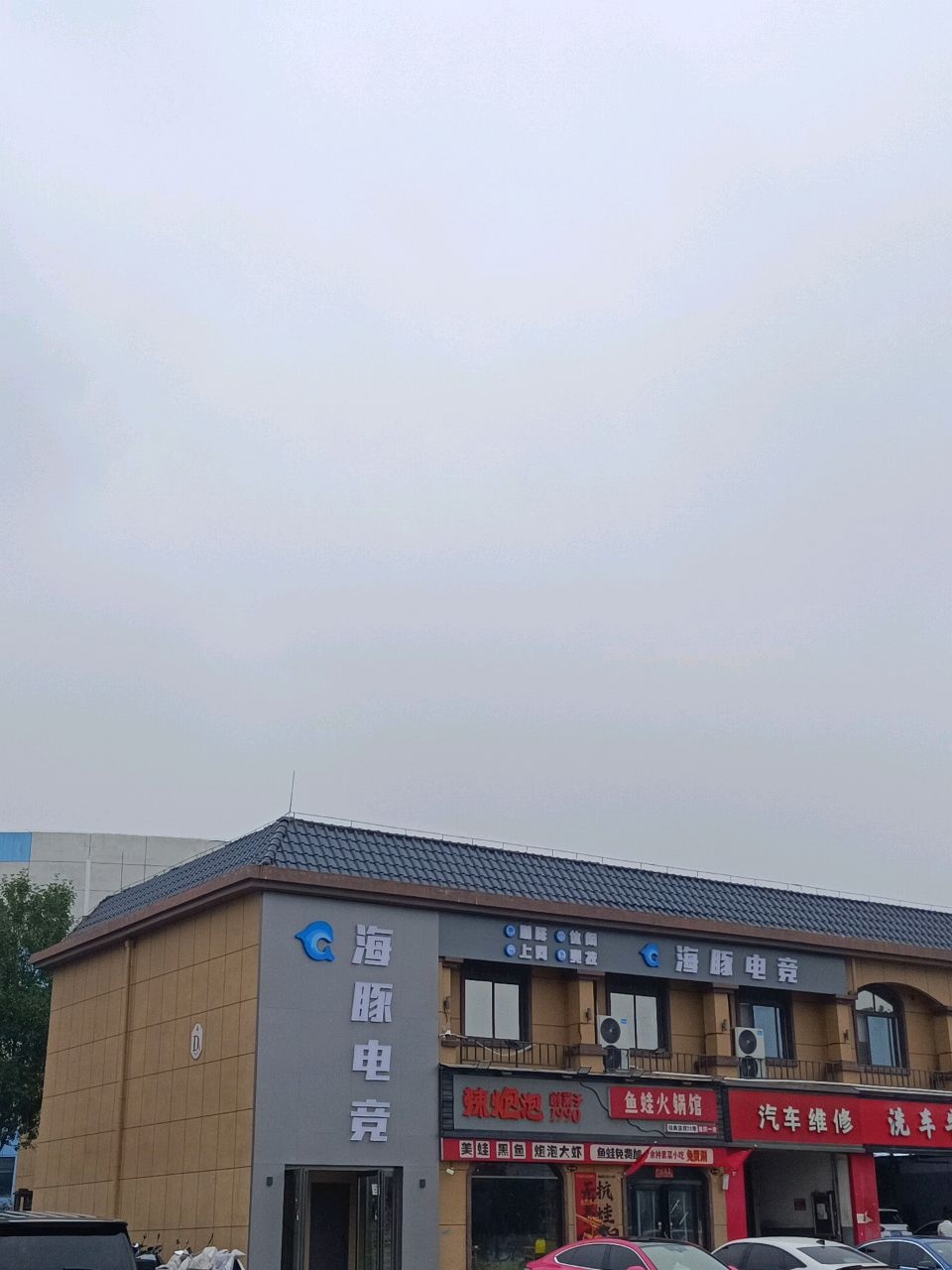 海豚电竞
