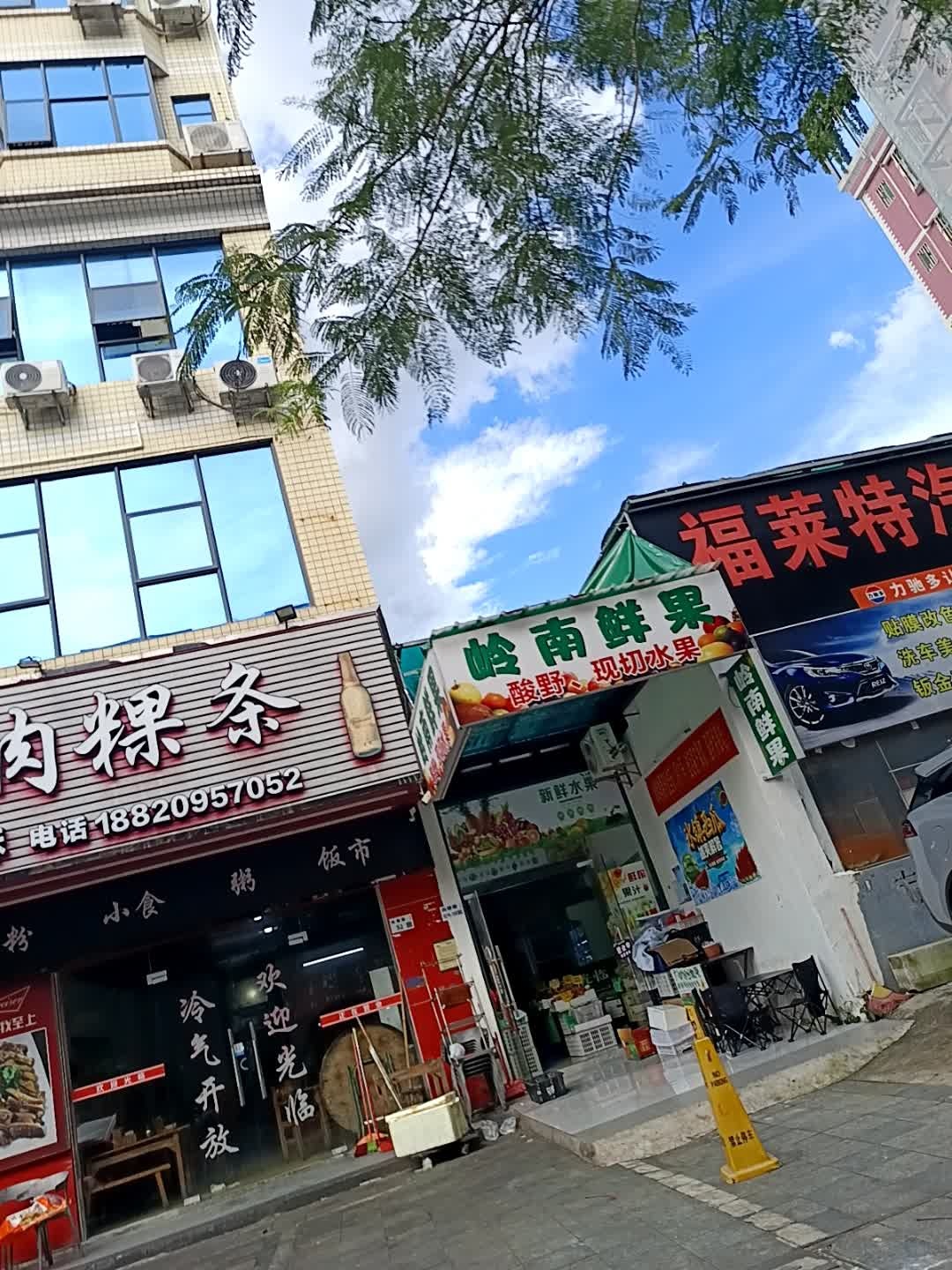 岭南鲜果