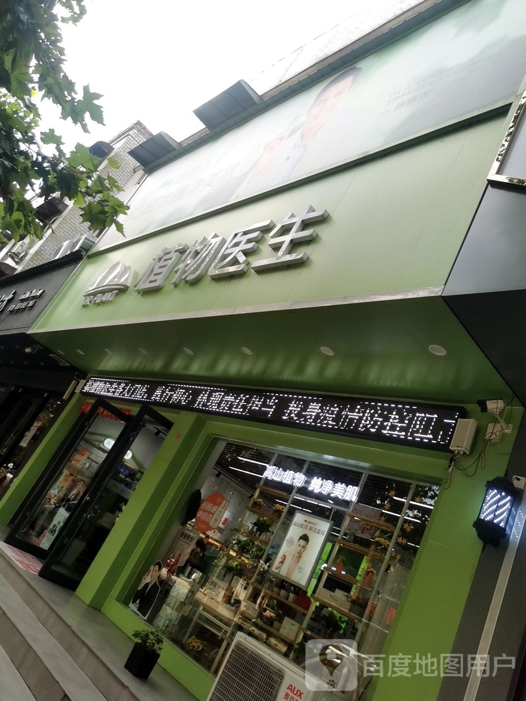 平舆县植物医生(挚地大道店)