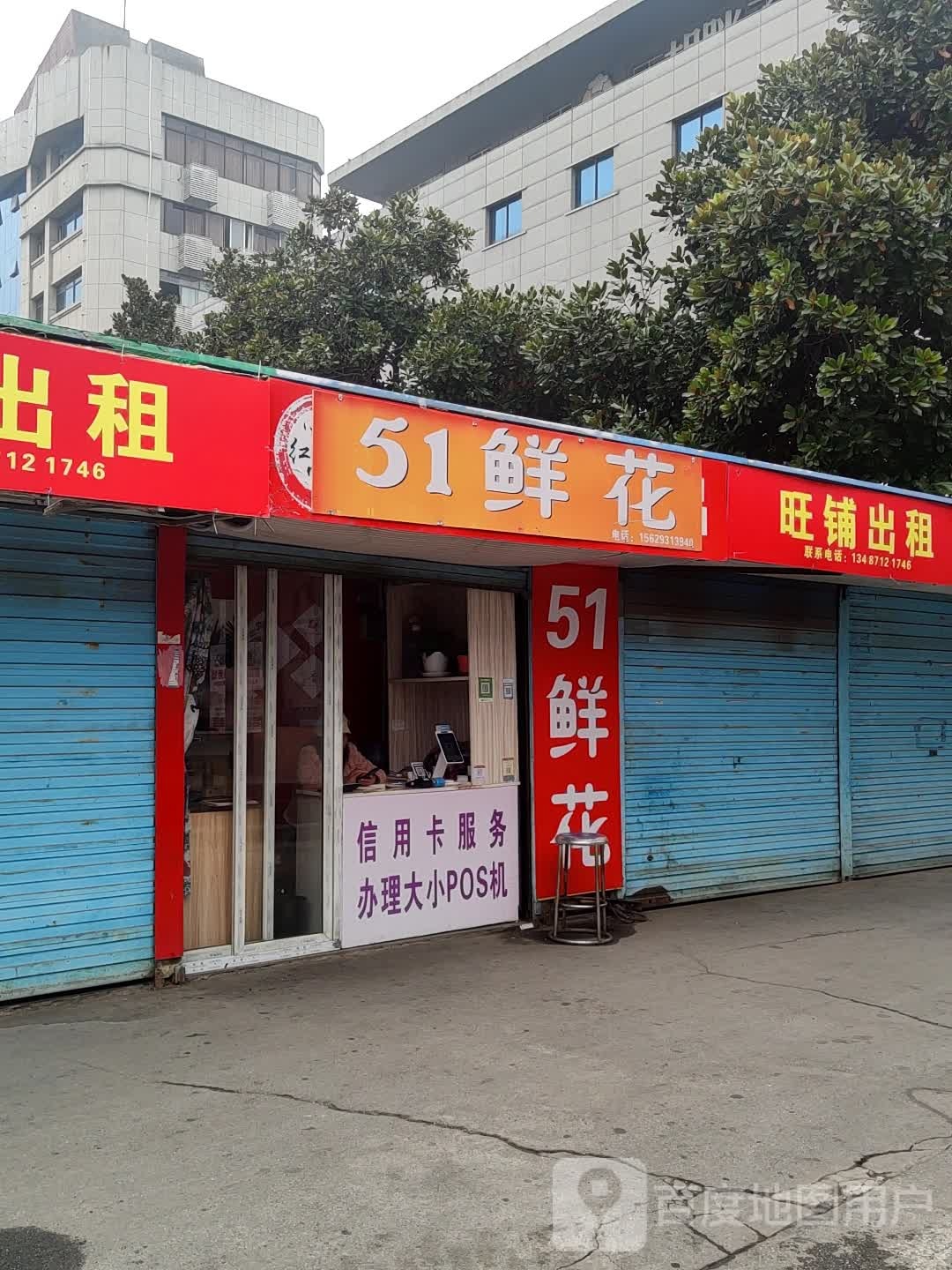 51鲜花