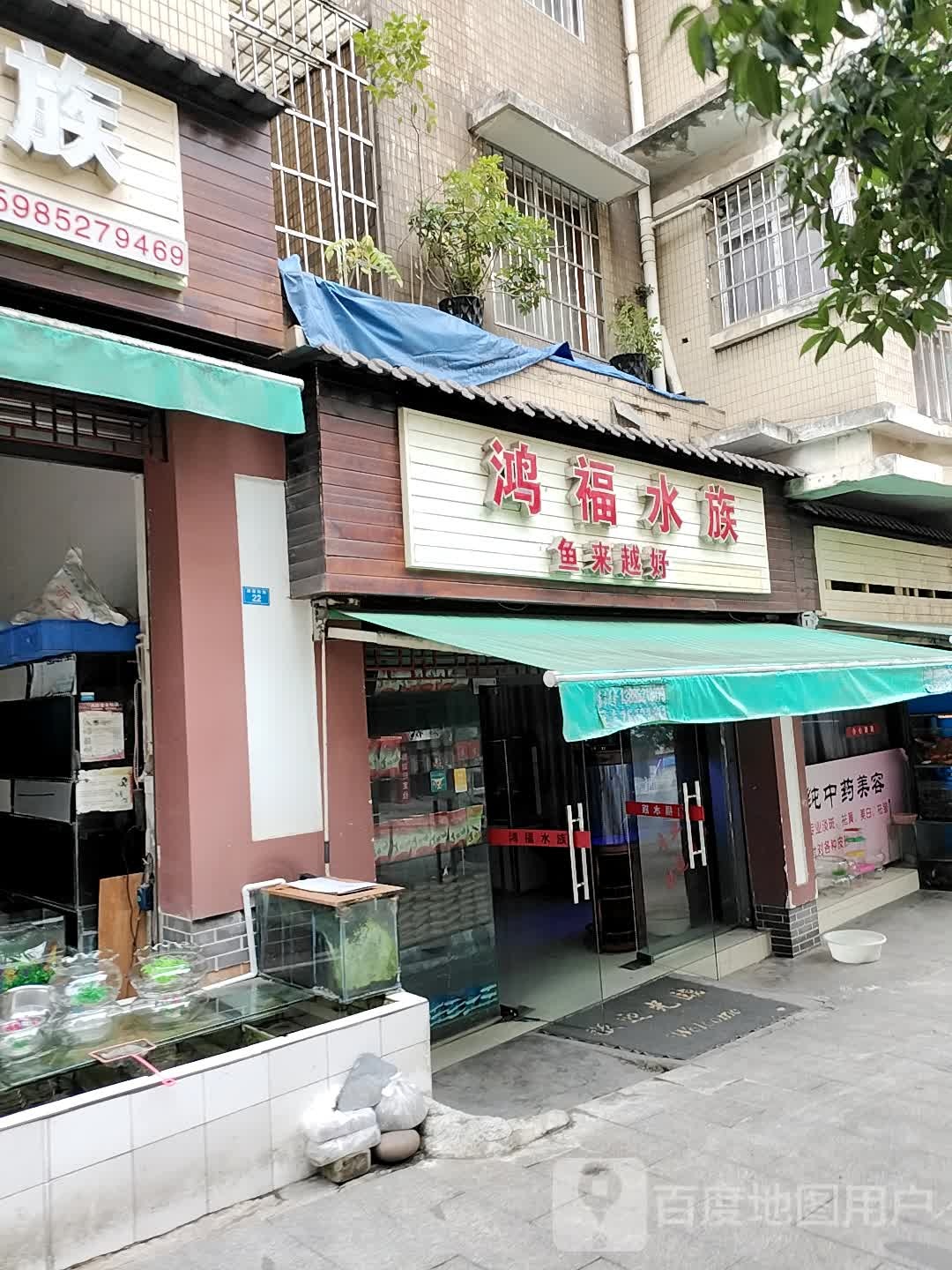 鸿福水族