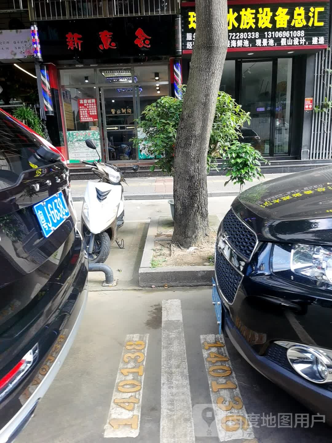 球记水族设备总汇