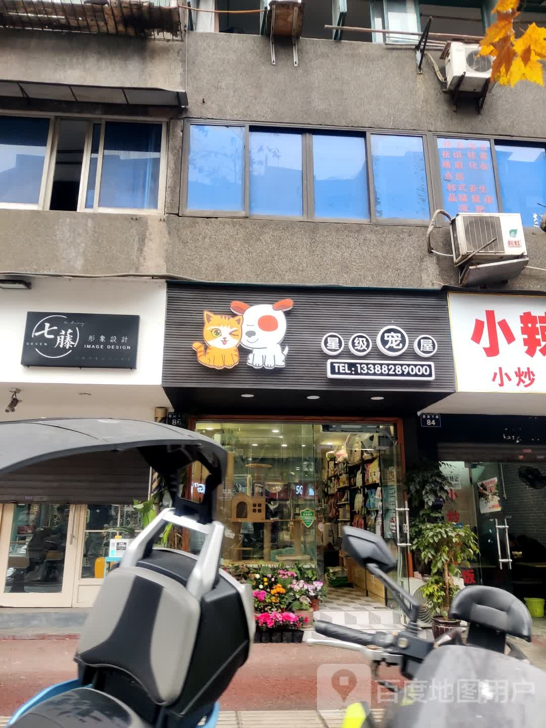 星级宠屋