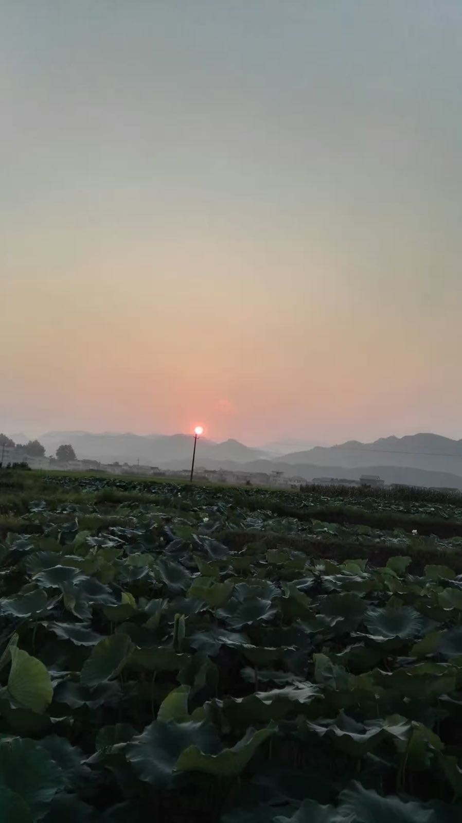 水东镇