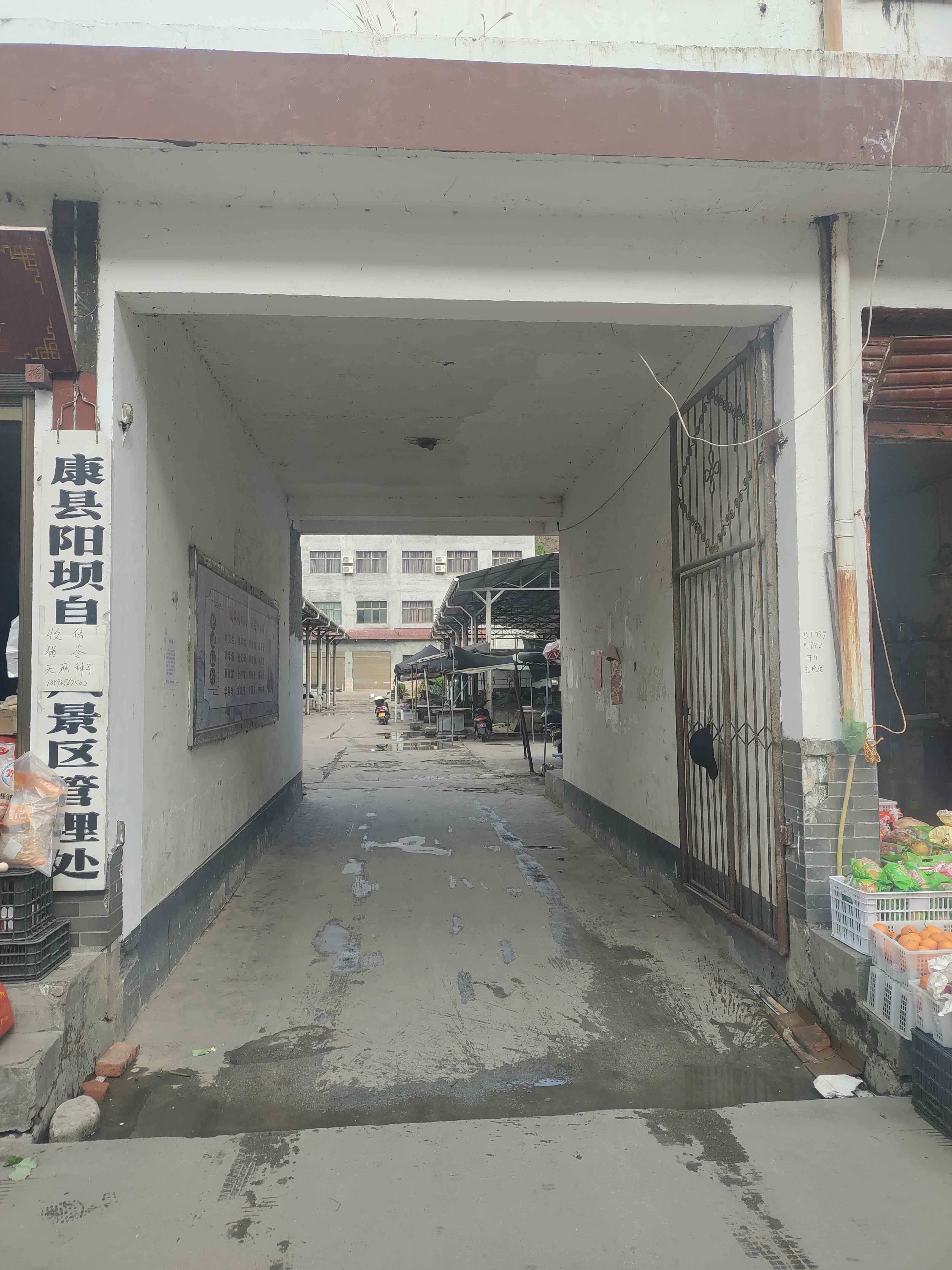 康县阳坝自然风景区管理处