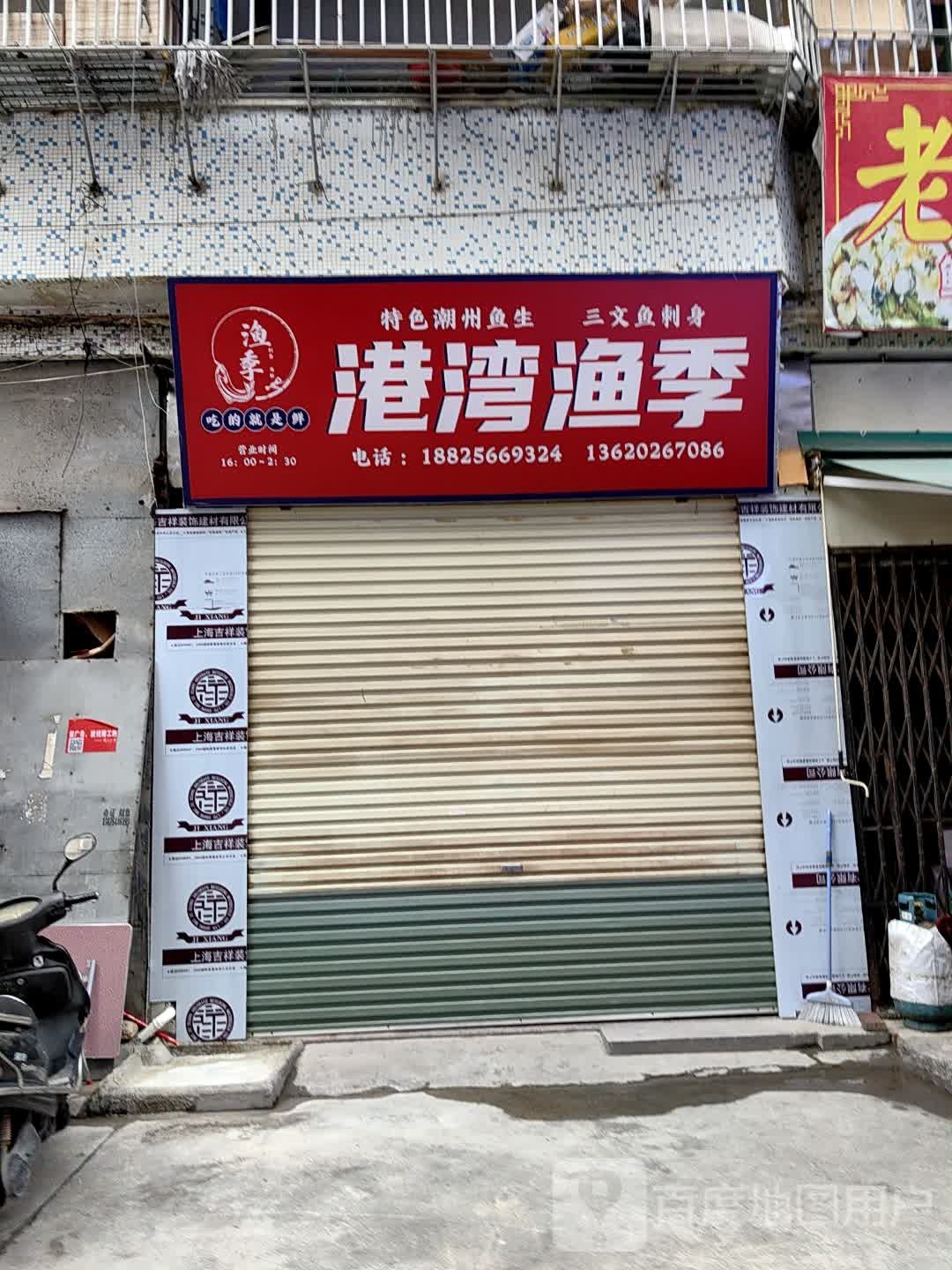 港湾鱼季