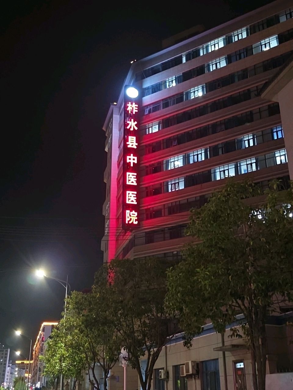 柞水县中医医院(新院区)
