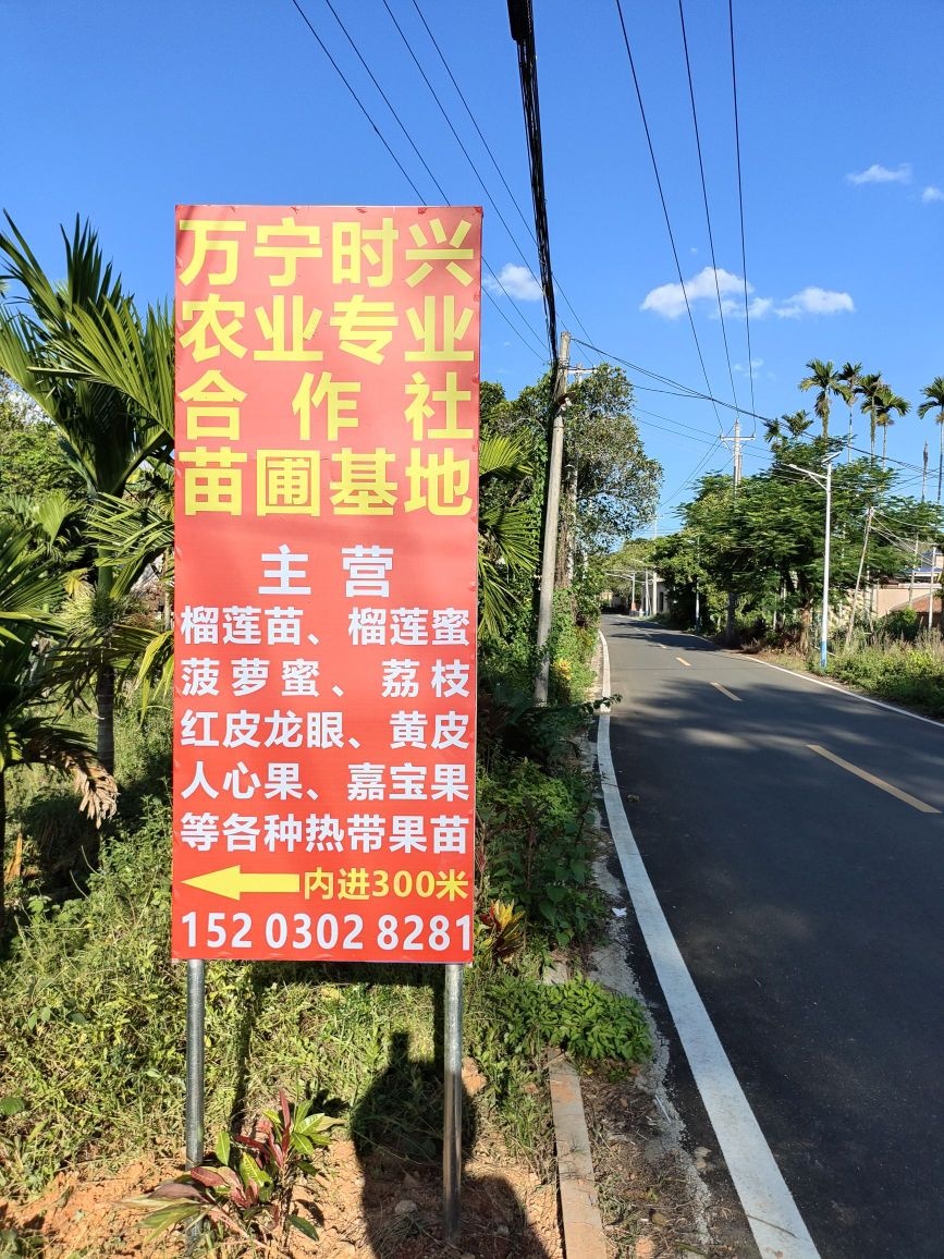 万宁时兴农业专业合作社
