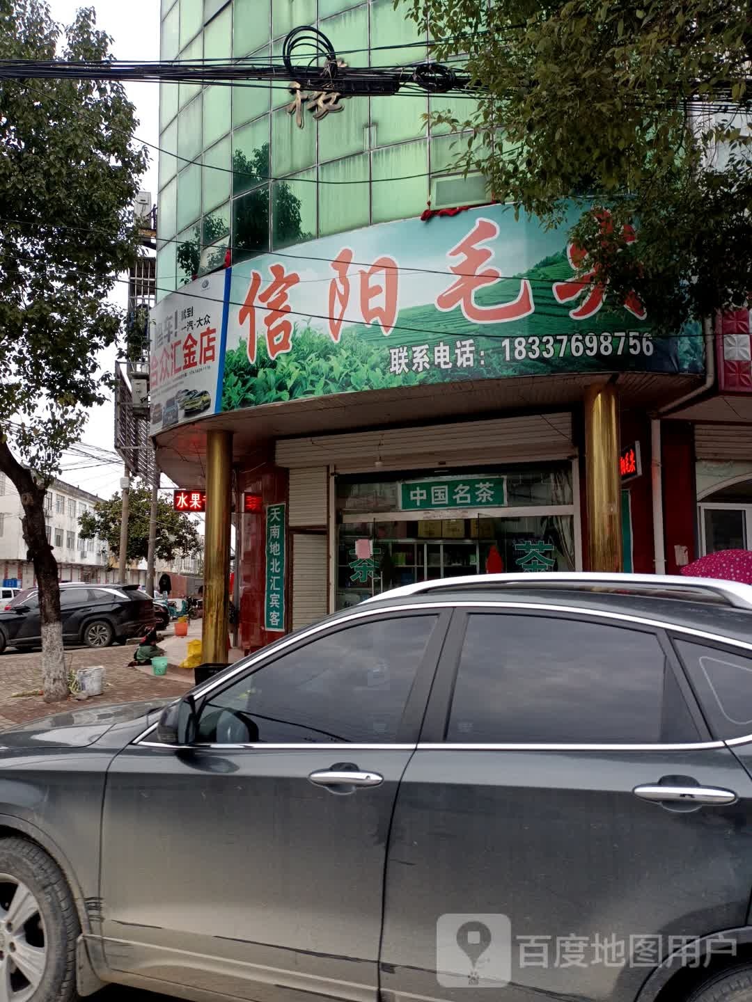 阳毛尖
