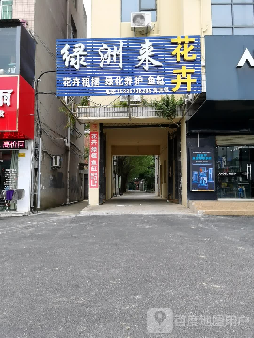 绿洲来花卉