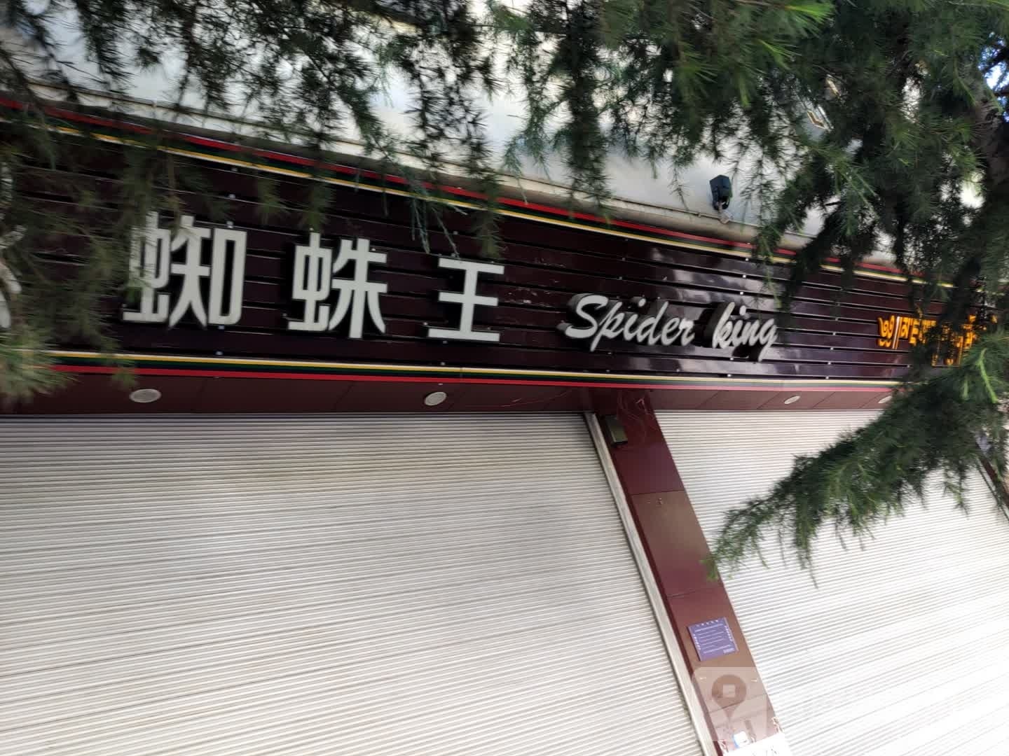 蜘蛛王皮鞋专卖店