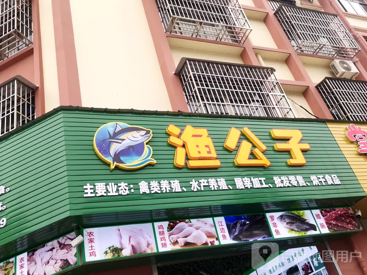 鱼公子