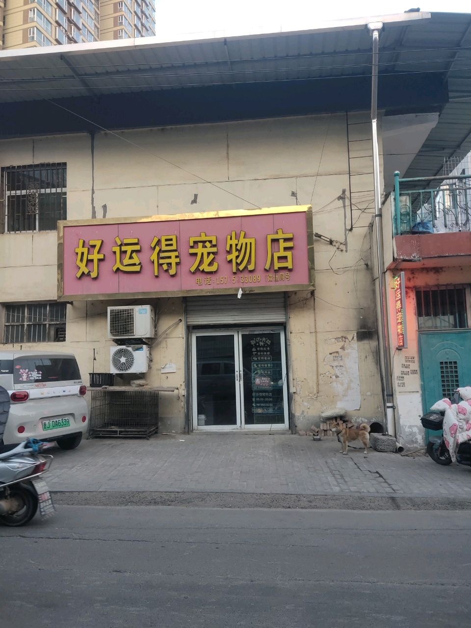好运得宠物店