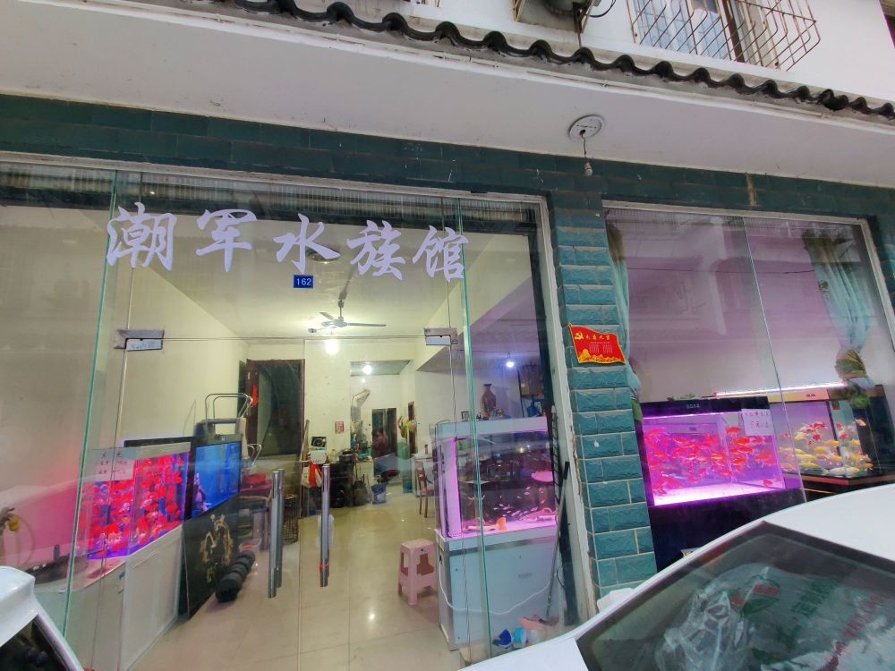 潮军水族箱(成都档口店)