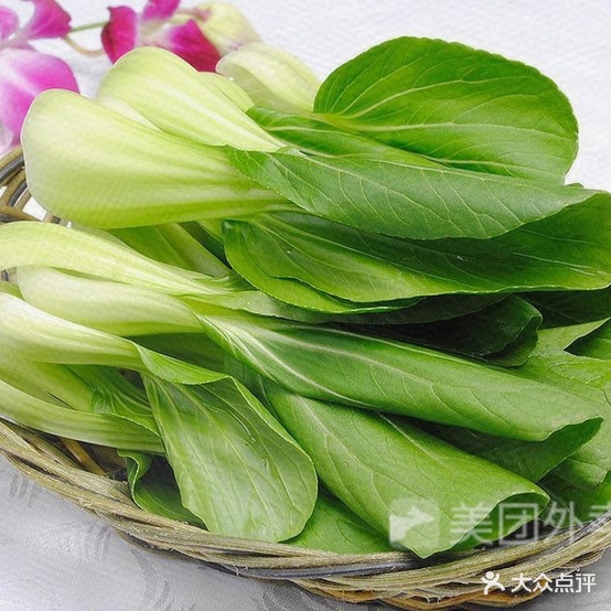 舒安穿菜