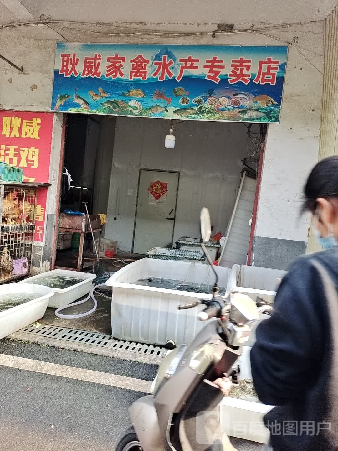 耿辉家禽水产专卖店