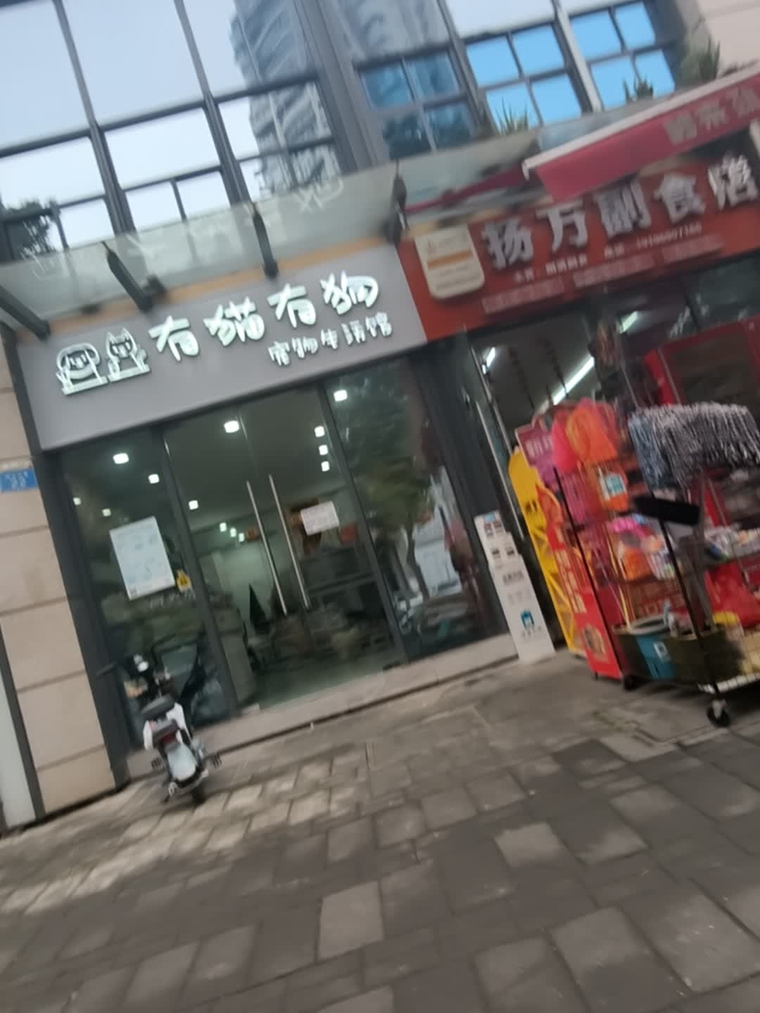 有猫有狗