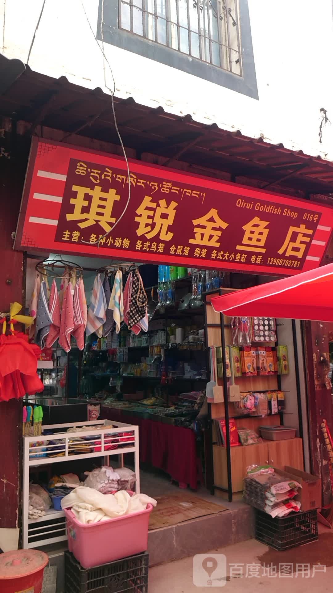 琪锐金鱼店