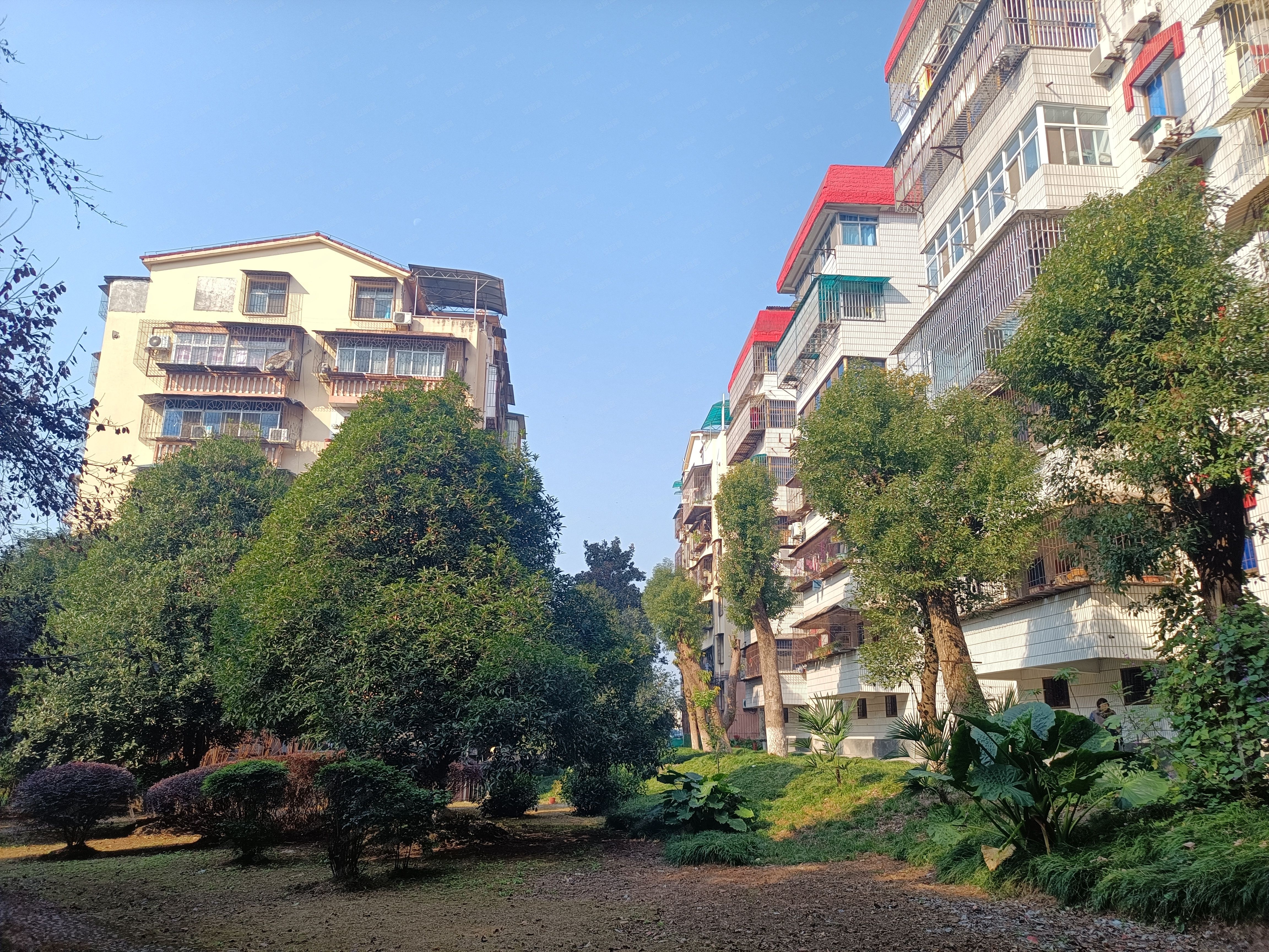 宜昌市气象局(白龙井路)