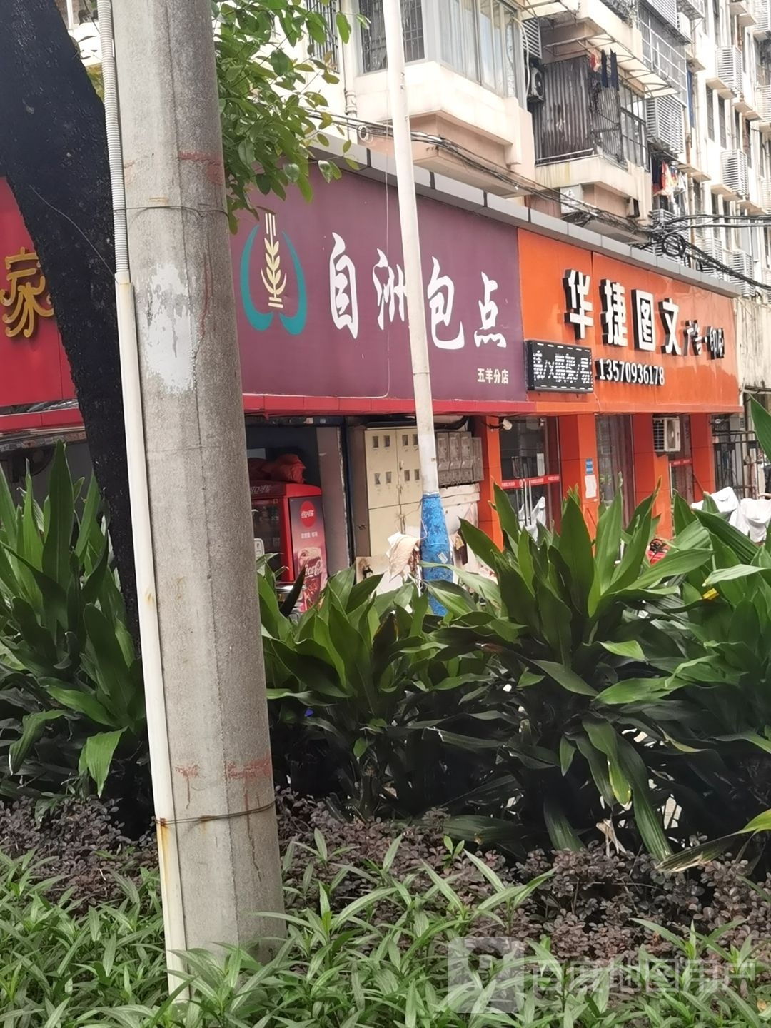 自洲包点(五羊分店)