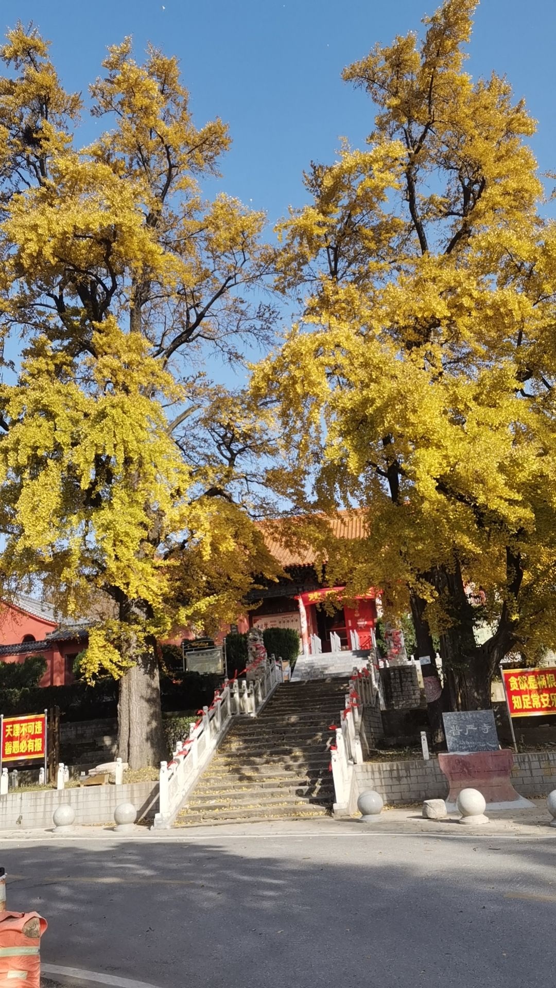 大寺森林公园