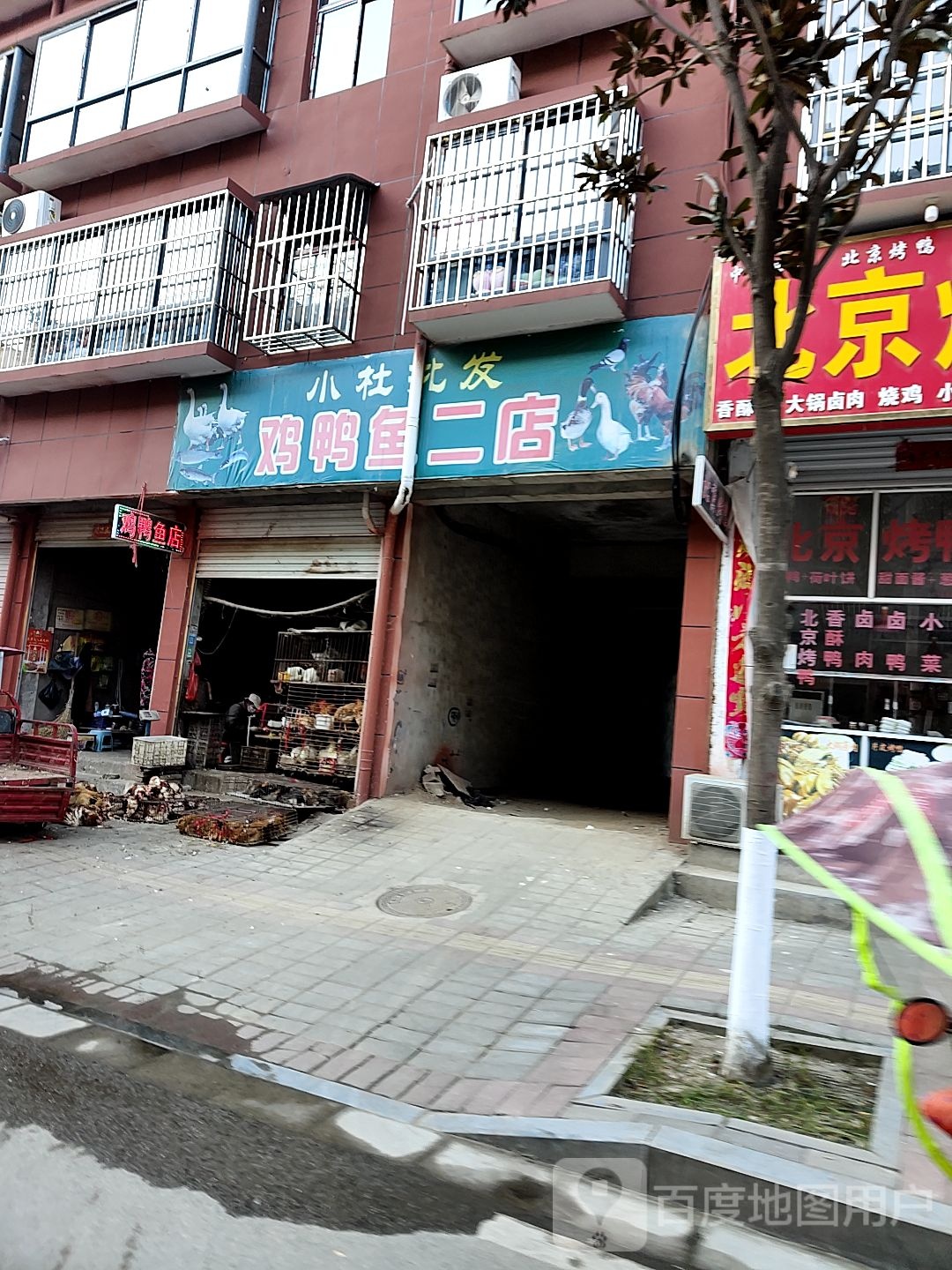 小杜批发(鸡鸭鱼二店)