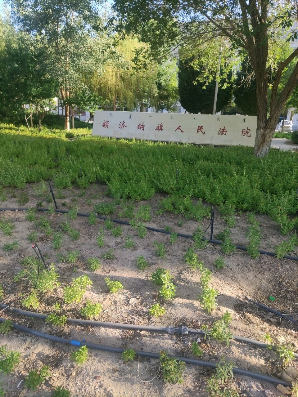 额济纳旗人民法院