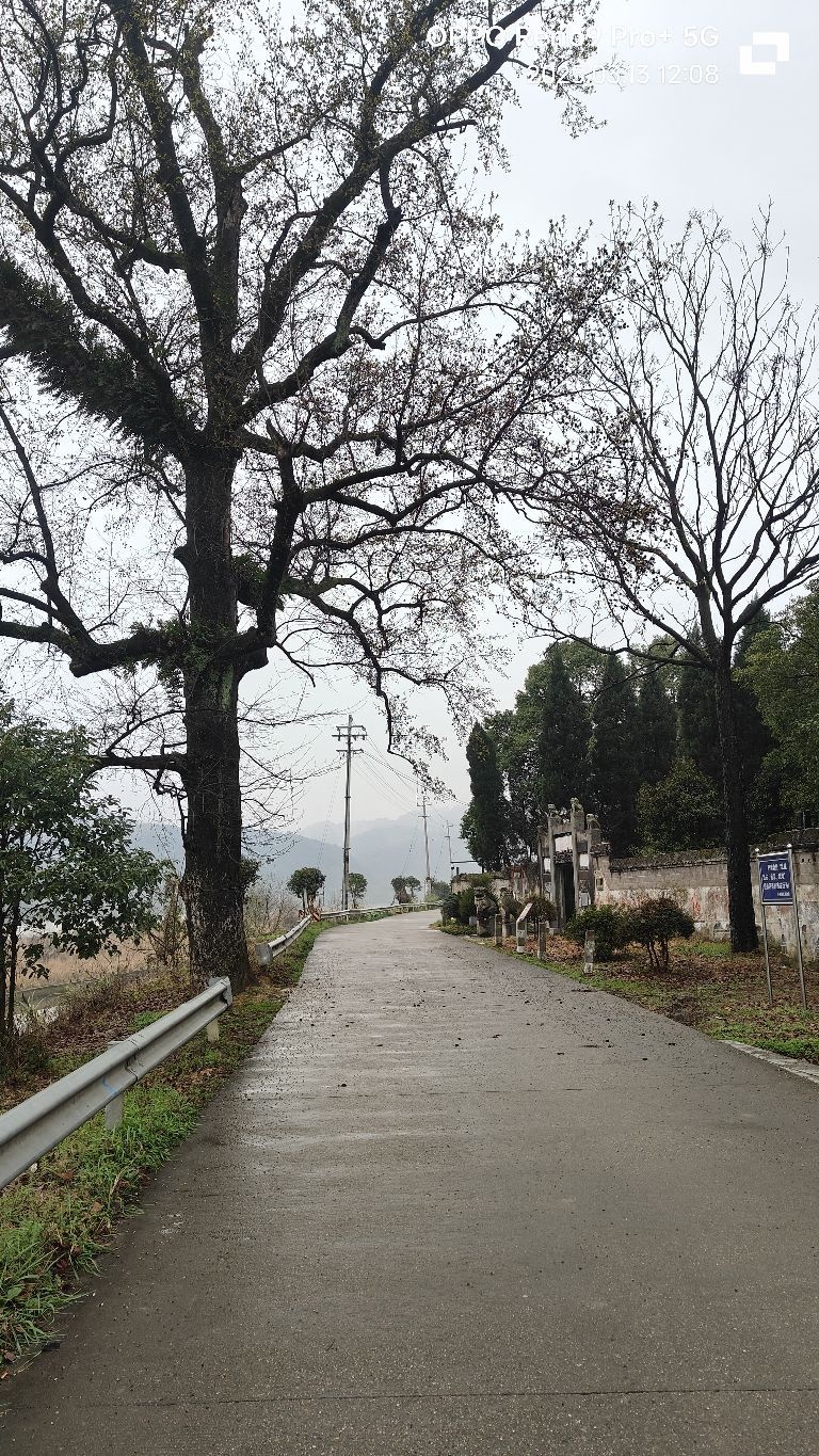 陶澍墓