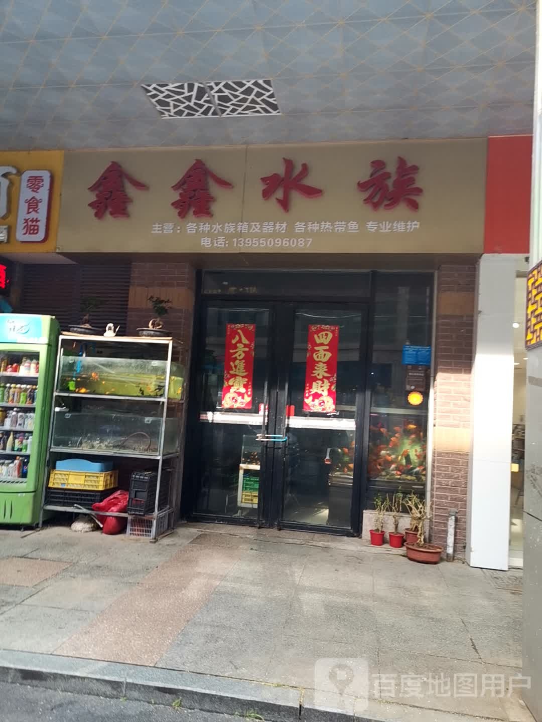 鑫鑫水族(天发广场店)