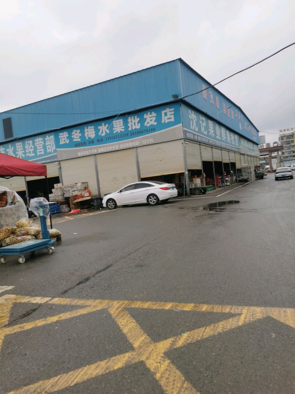 唐伟水果经营部