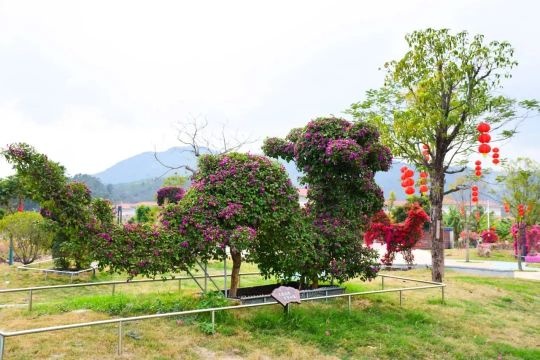 同心湖公园