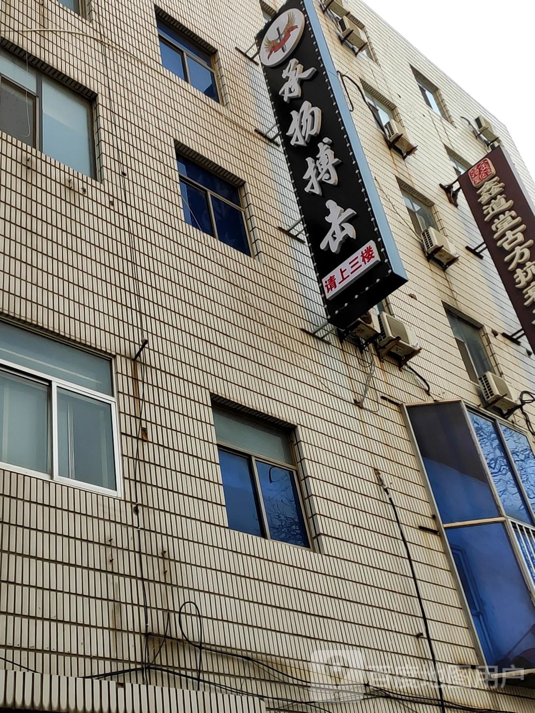 承扬搏击