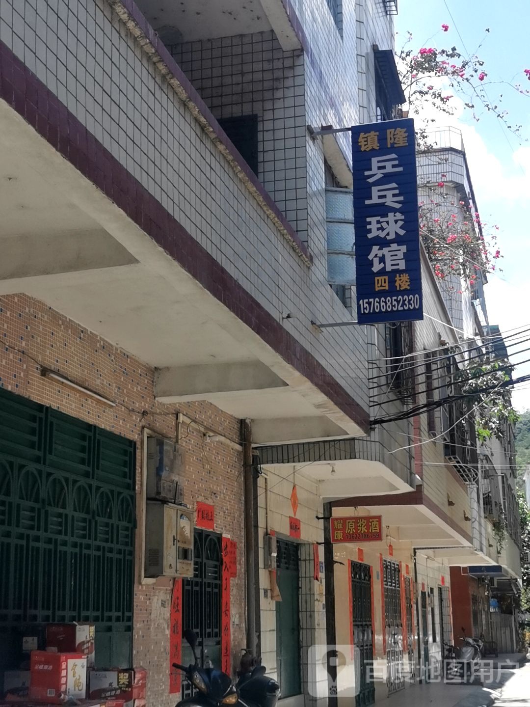镇隆乒乓球馆