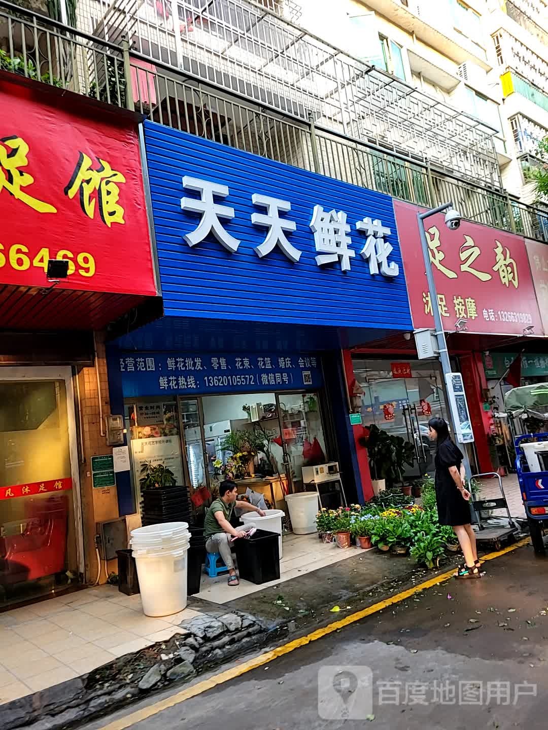 天天鲜花(乐从店)