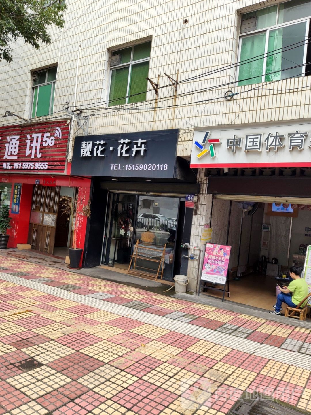 靓花花卉