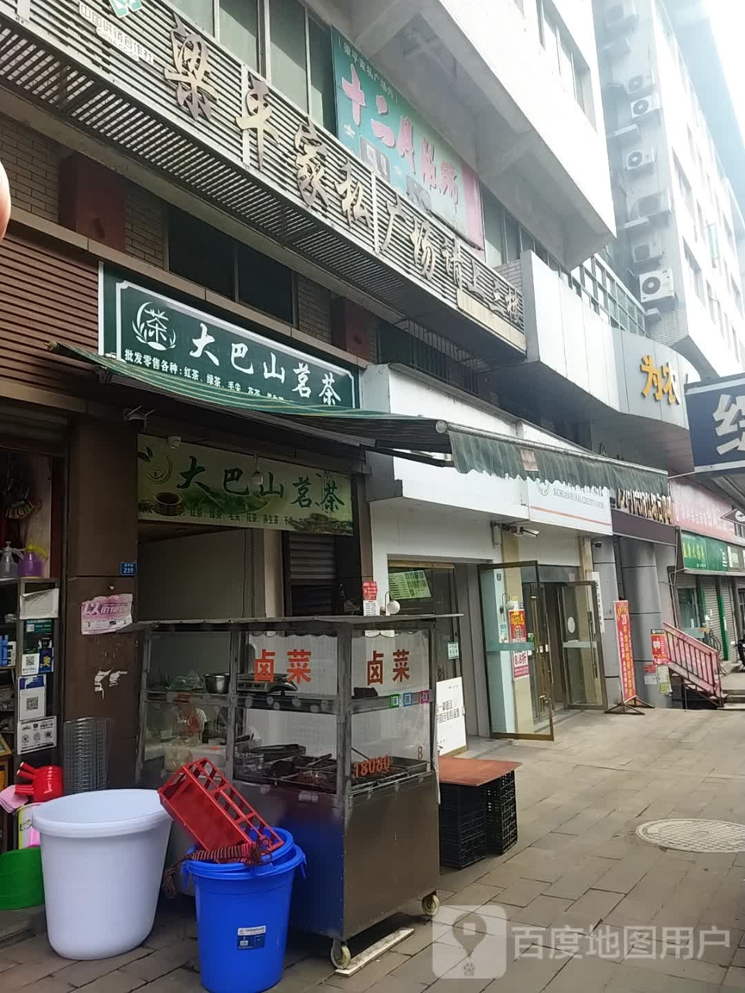 大巴山茗茶