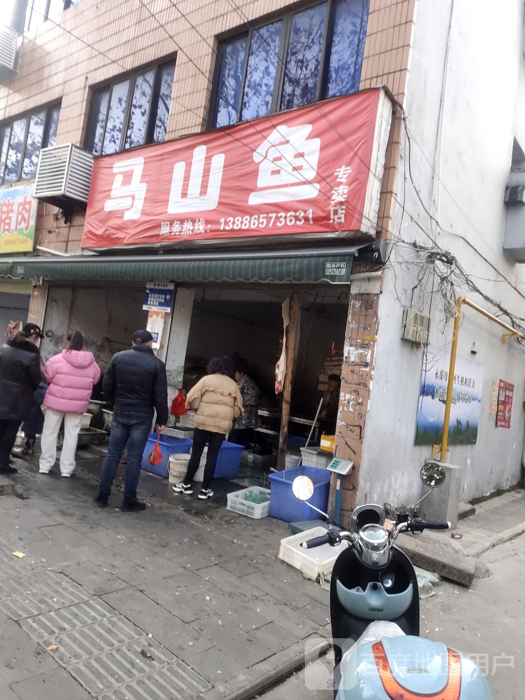 马山鱼专卖店