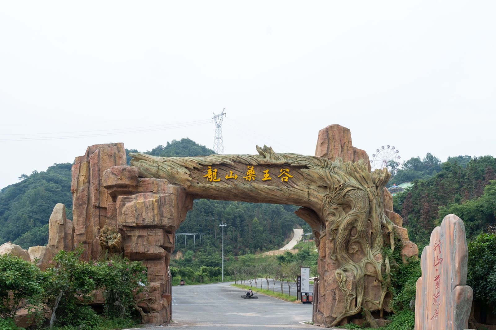 龙山药王谷