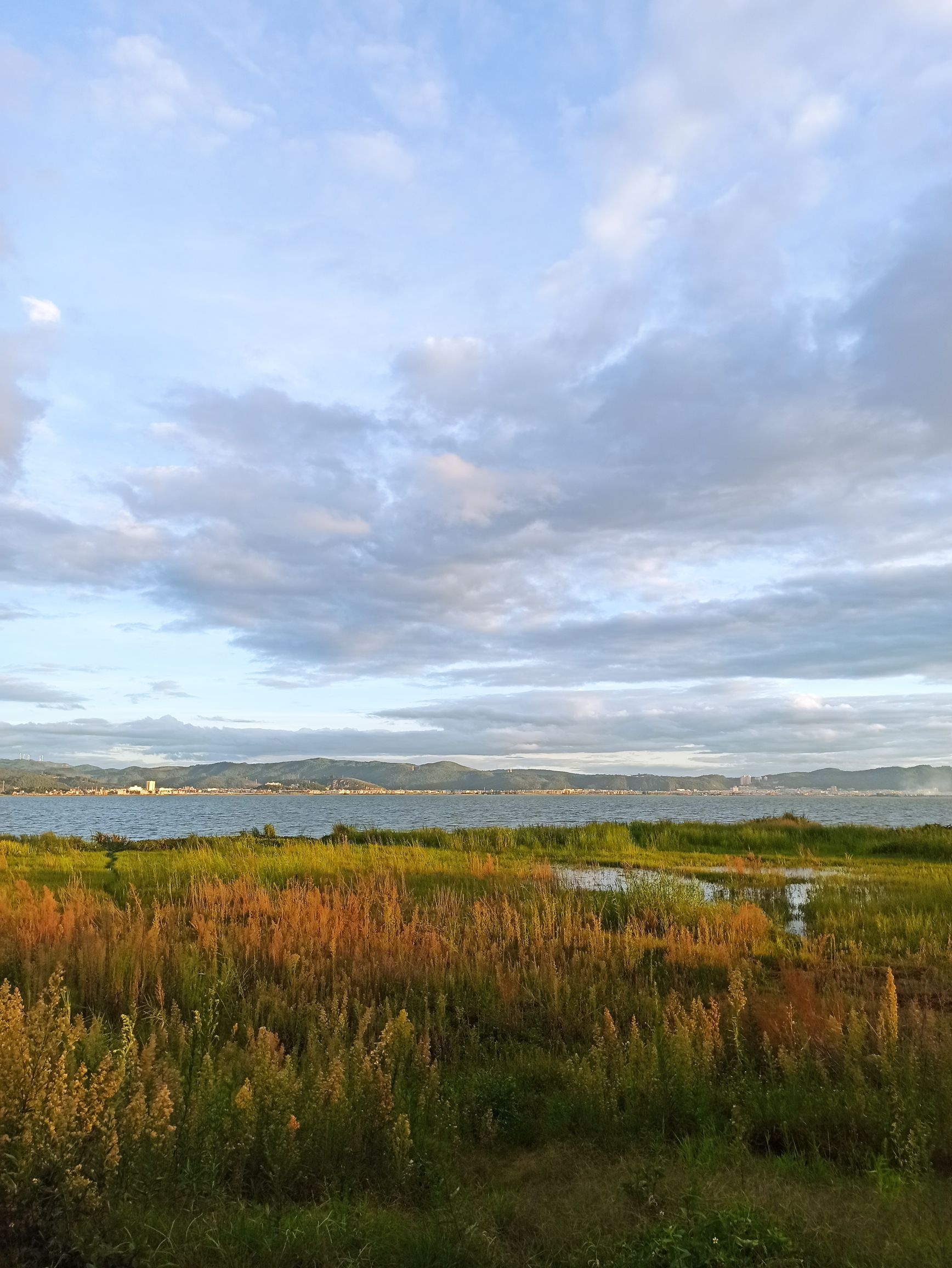 杞麓湖国家湿地公园