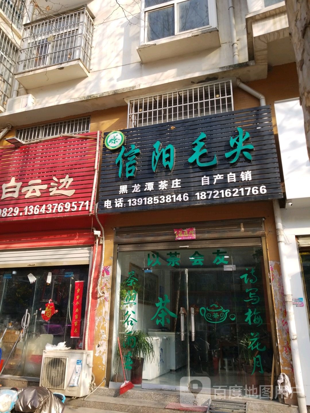 息县信阳毛尖(南大街店)