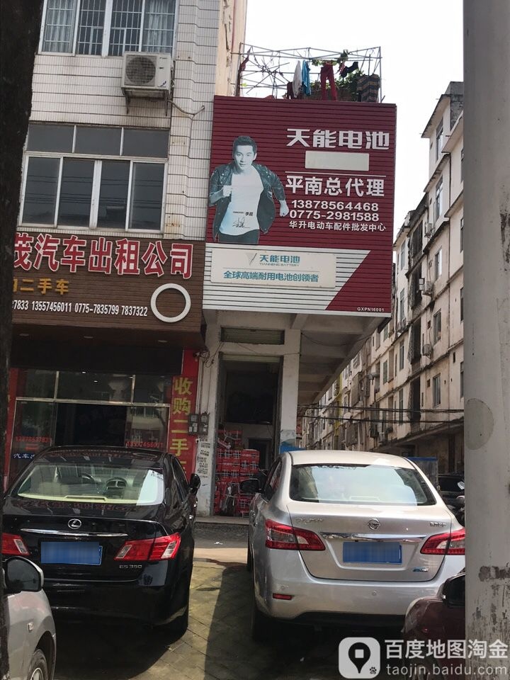 天能电赤(平南总代理)